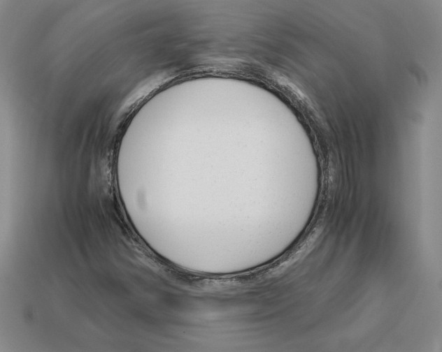 X0000112901354200910021426