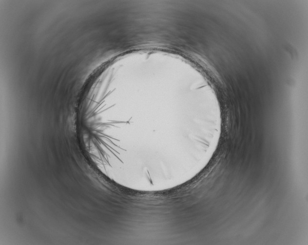 X0000112901356200910021426