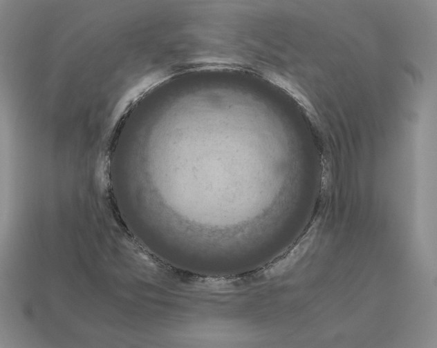X0000112901357200910021426
