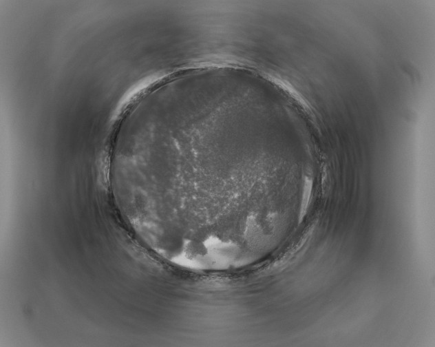 X0000112901358200910021426
