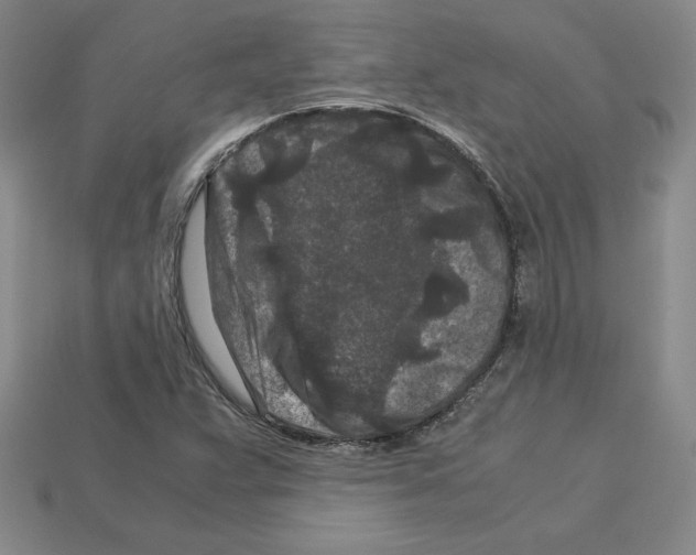 X0000112901359200910021426