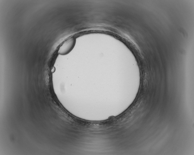 X0000112901360200910021426