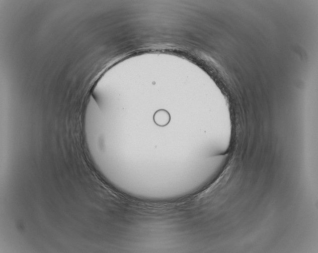 X0000112901361200910021426