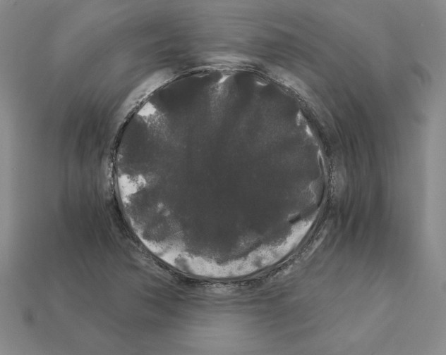 X0000112901362200910021426