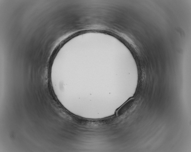 X0000112901364200910021426