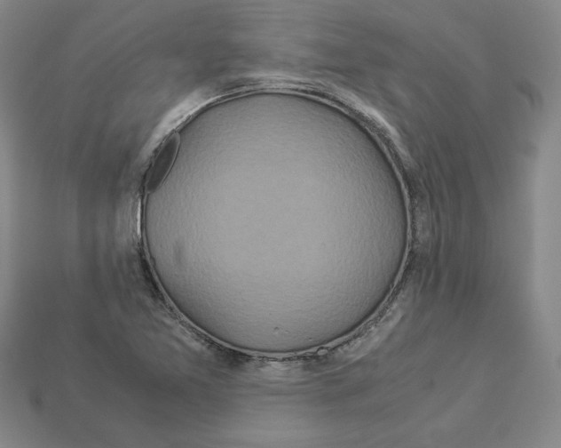 X0000112901365200910021426
