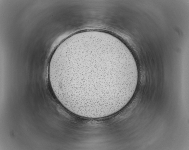 X0000112901366200910021426