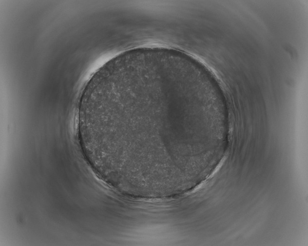 X0000112901367200910021426