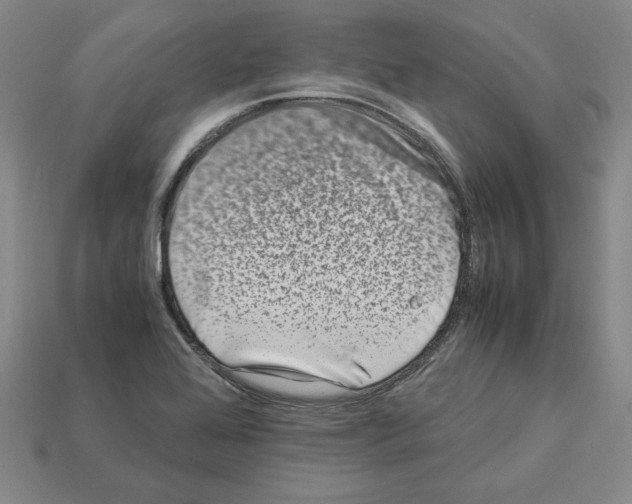 X0000112901368200910021426