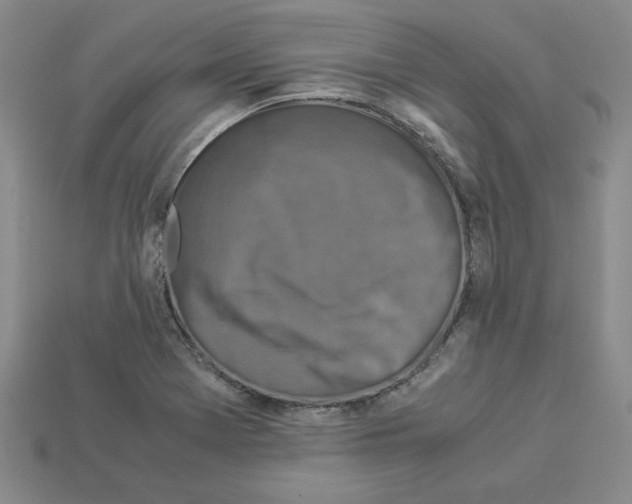 X0000112901369200910021426