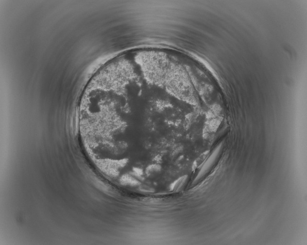 X0000112901371200910021426