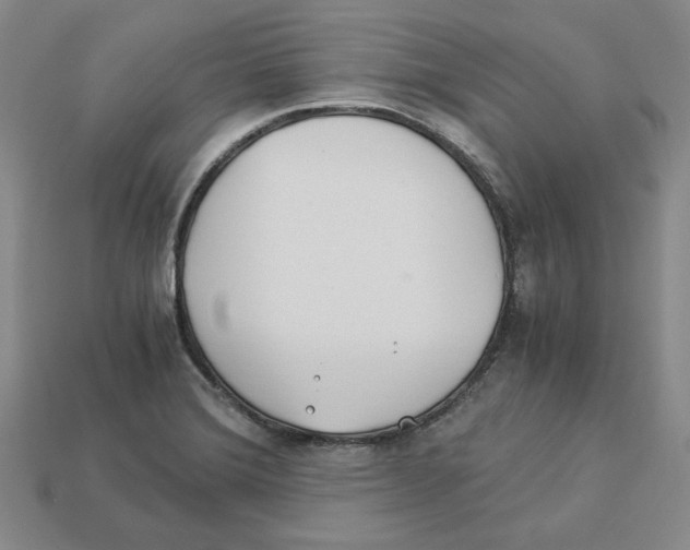 X0000112901372200910021426