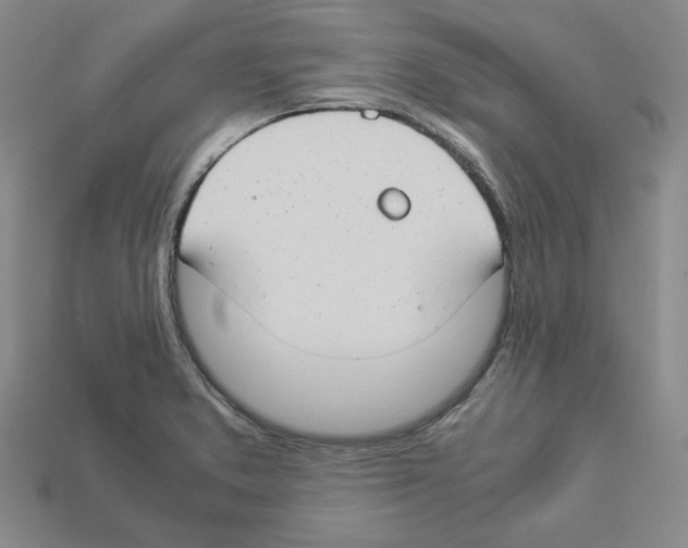 X0000112901373200910021426