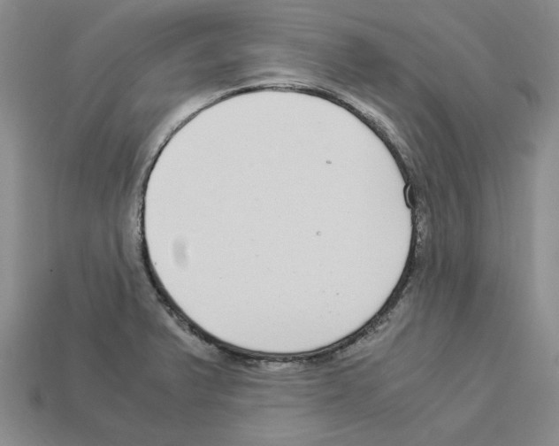 X0000112901375200910021426