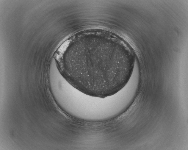 X0000112901377200910021426