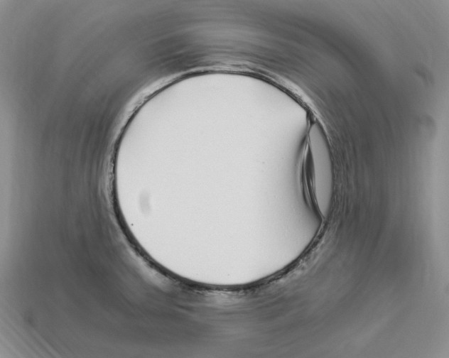 X0000112901379200910021426