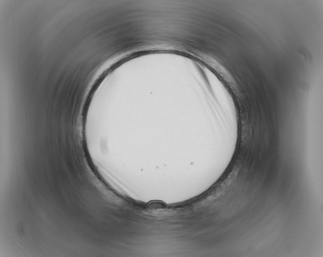 X0000112901380200910021426