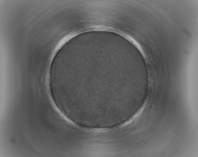 X0000112901381200910021426