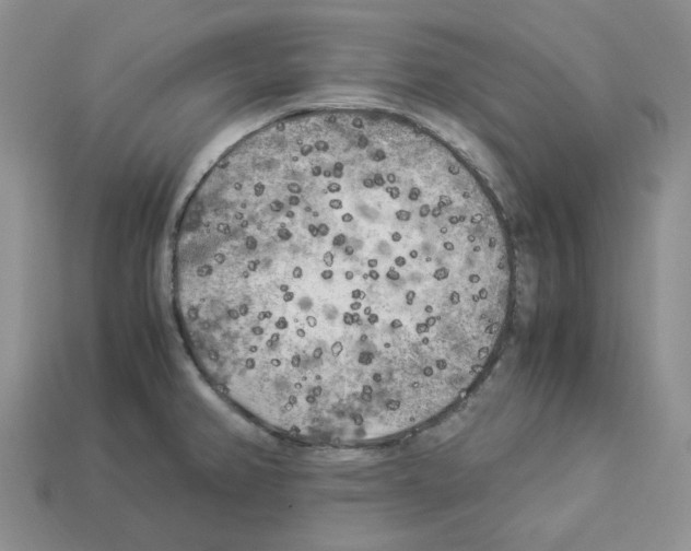 X0000112901382200910021426