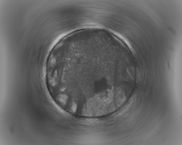 X0000112901383200910021426