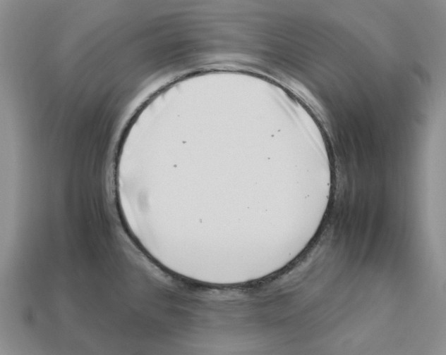 X0000112901384200910021426