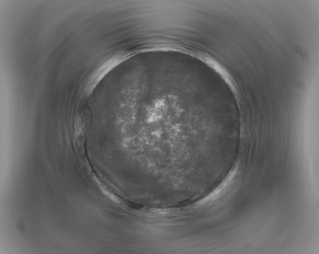 X0000112901385200910021425