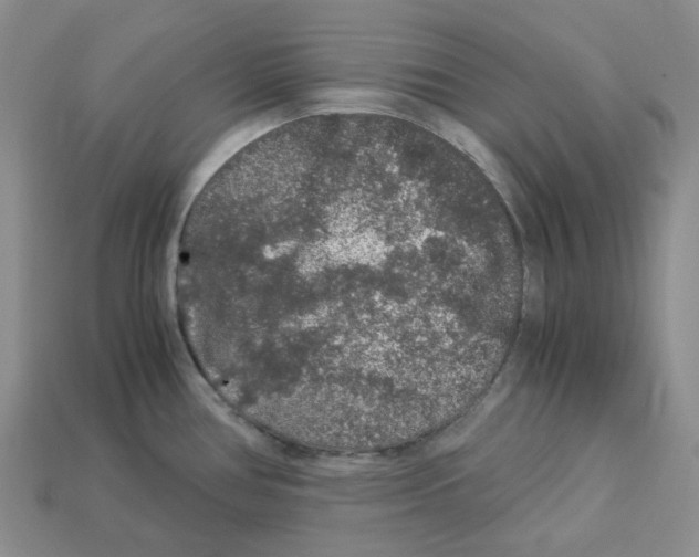 X0000112901386200910021425