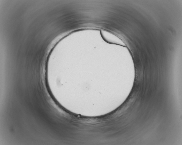X0000112901387200910021425