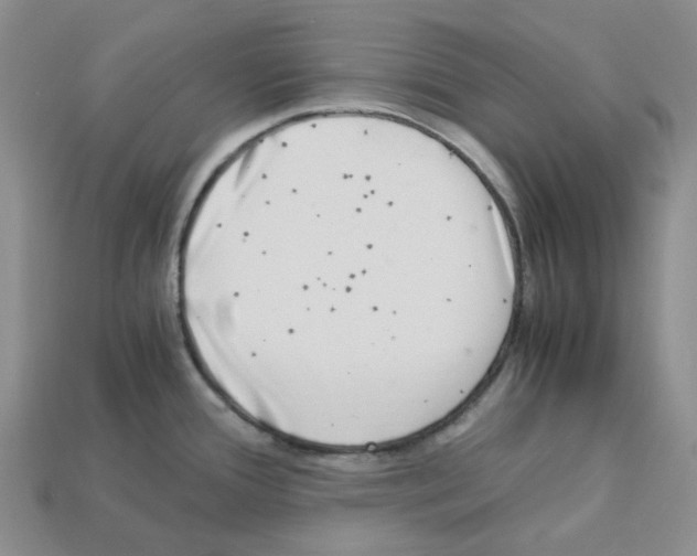 X0000112901388200910021425