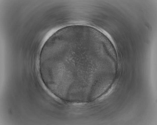 X0000112901389200910021425