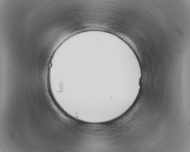 X0000112901391200910021425