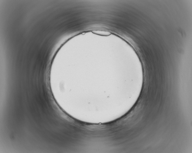 X0000112901392200910021425