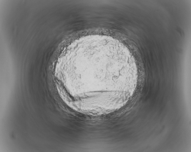 X0000112901393200910021425