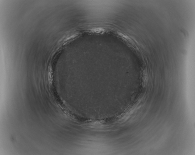 X0000112901394200910021425