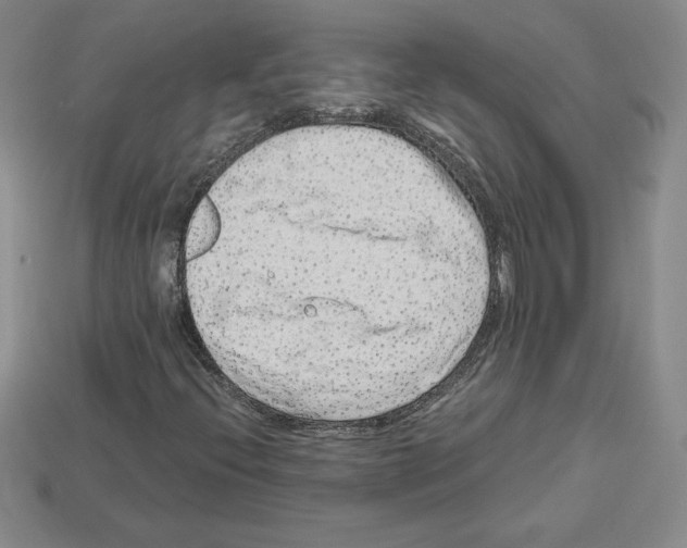 X0000112901396200910021425