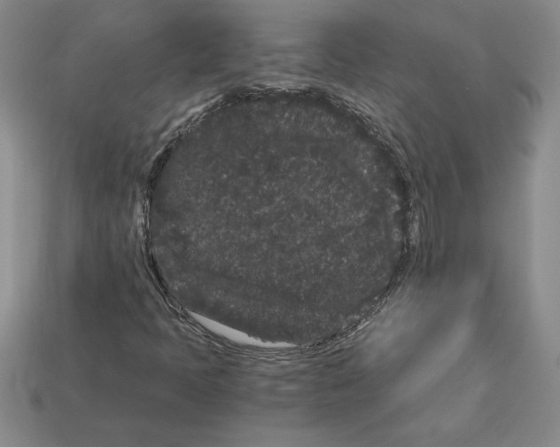 X0000112901397200910021425