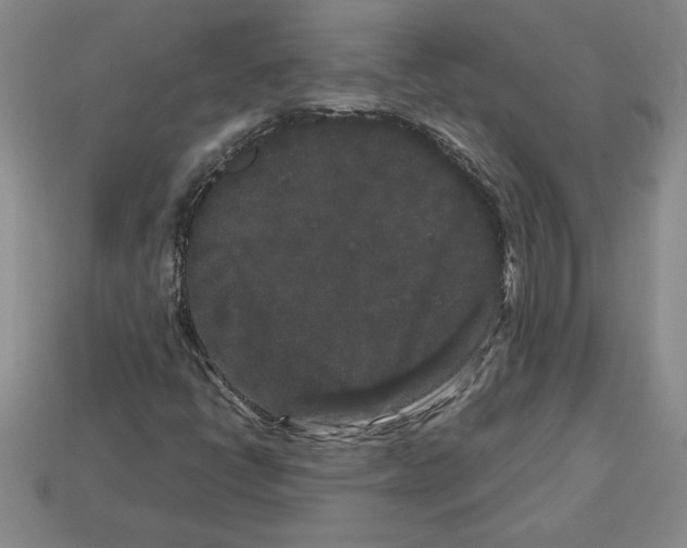 X0000112901398200910021425