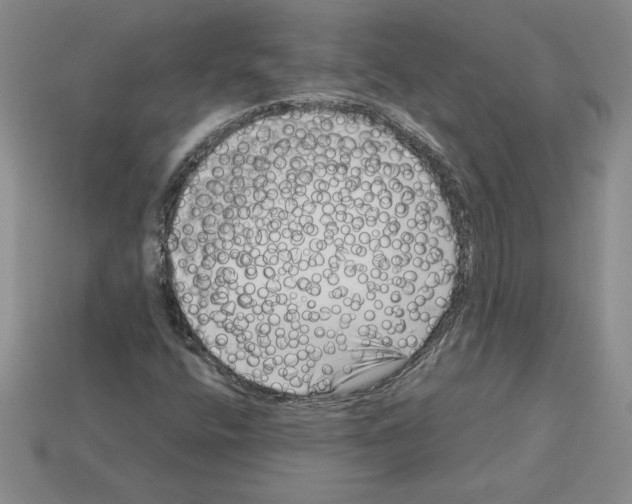 X0000112901400200910021425