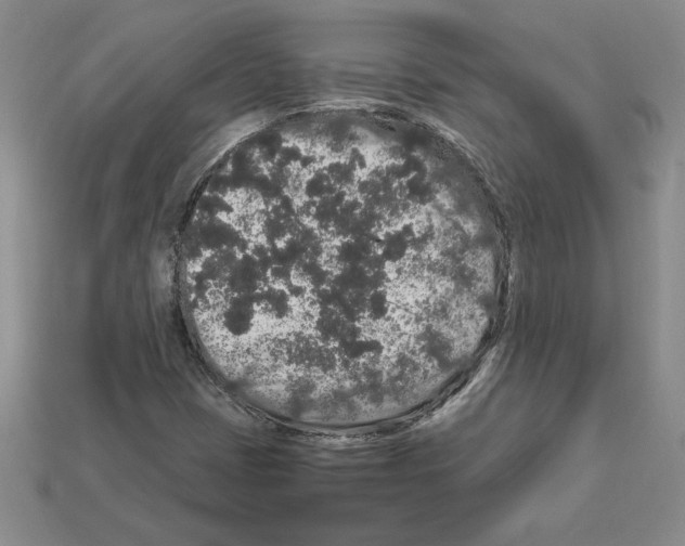 X0000112901401200910021425