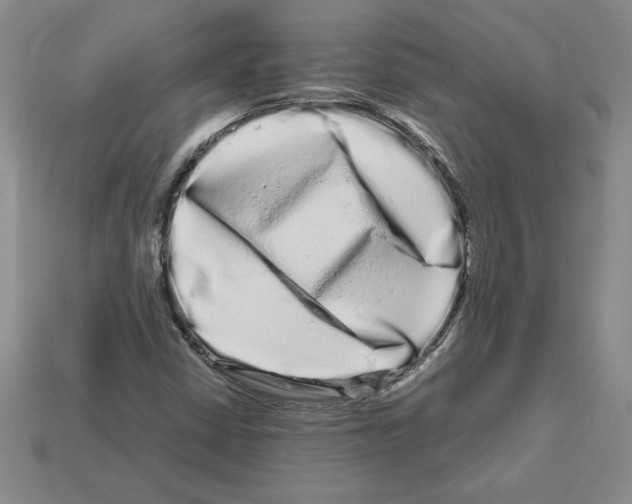X0000112901402200910021425