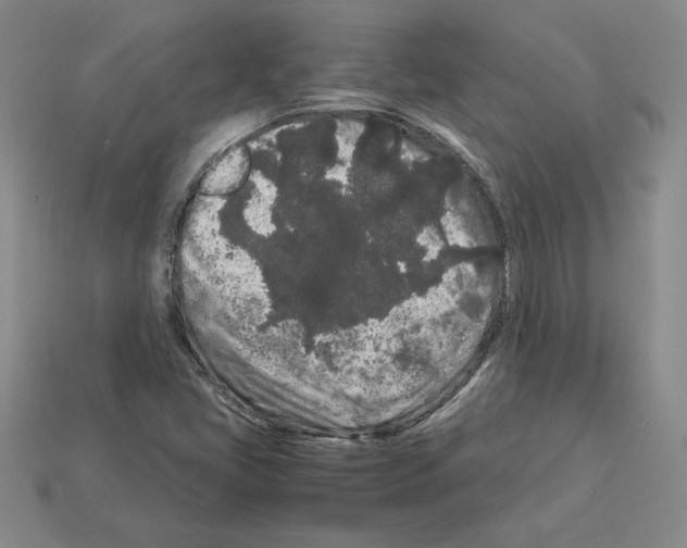 X0000112901405200910021425