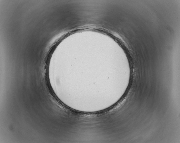 X0000112901406200910021425