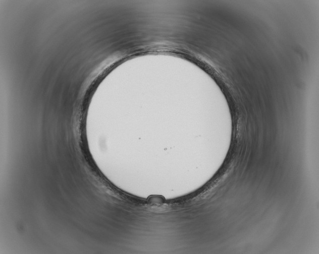 X0000112901410200910021425