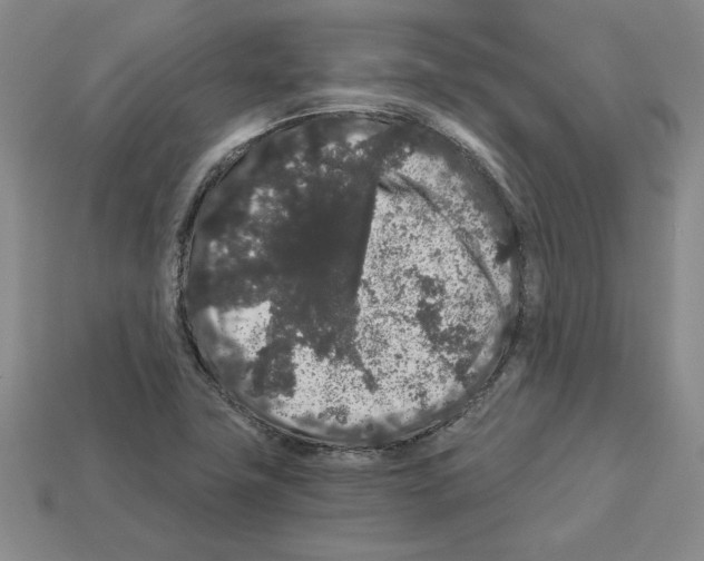 X0000112901411200910021425