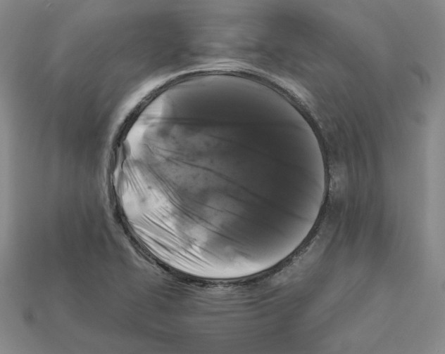 X0000112901414200910021425