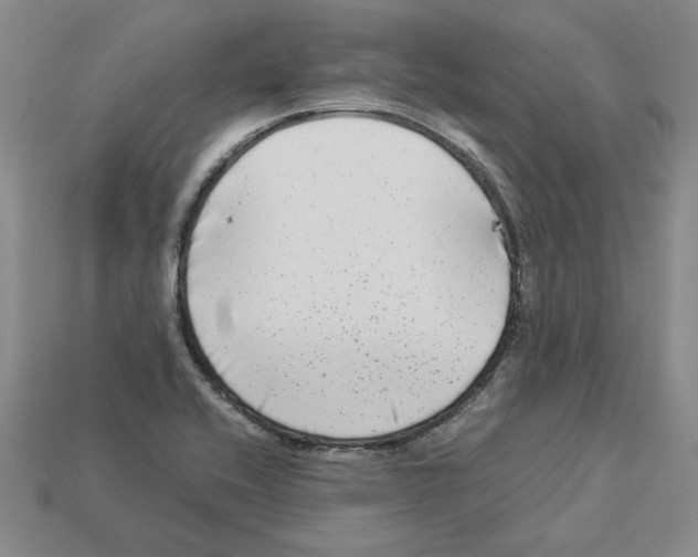 X0000112901416200910021425