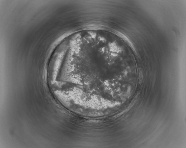 X0000112901419200910021425