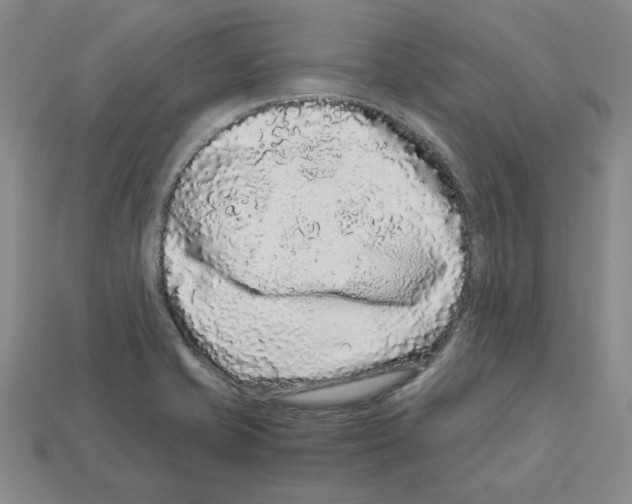 X0000112901421200910021425