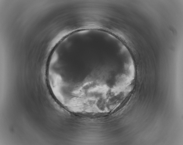 X0000112901422200910021425