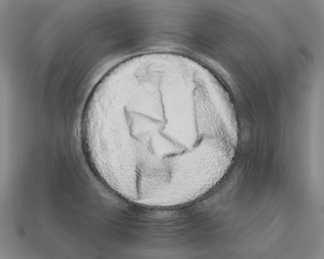 X0000112901423200910021425